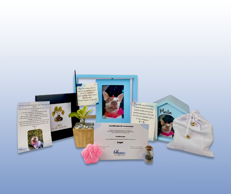 diseño sin título (4) diseño sin título (4)