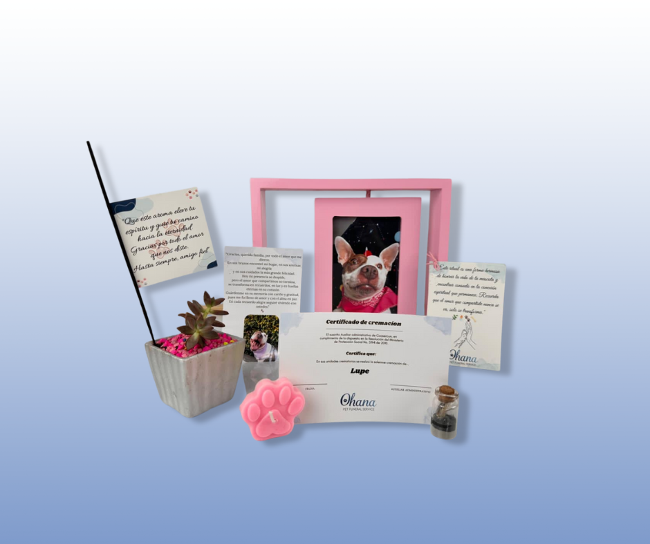 diseño sin título (5) diseño sin título (5)