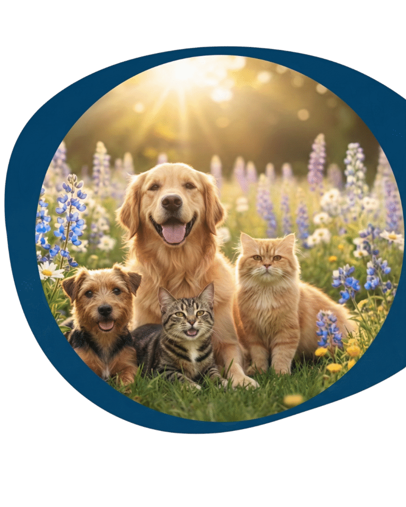 sin título (sitio web) 2 sin título (sitio web) 2